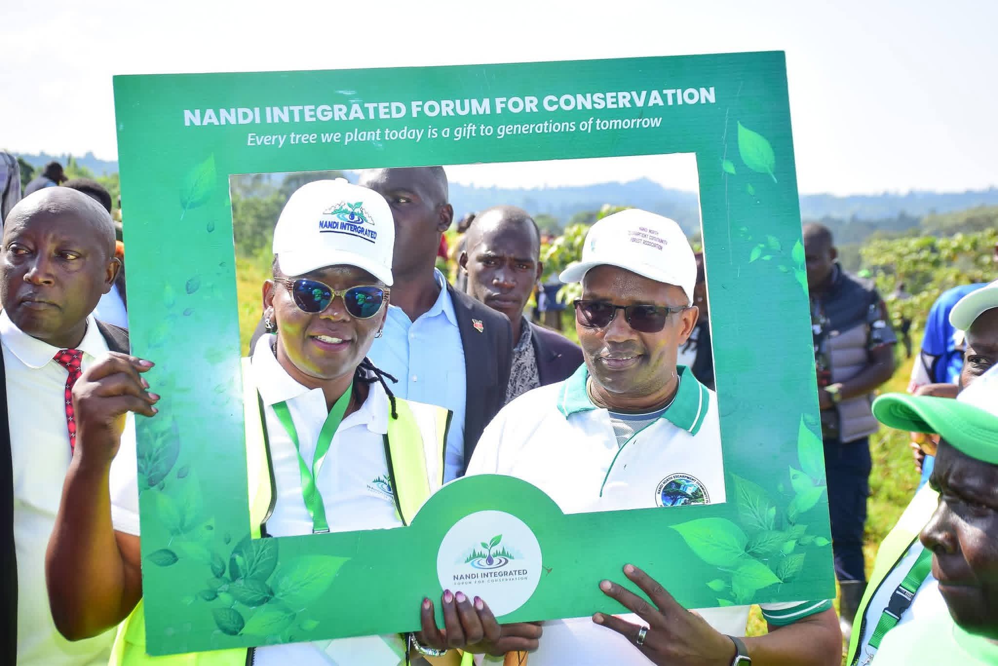 Tree planting